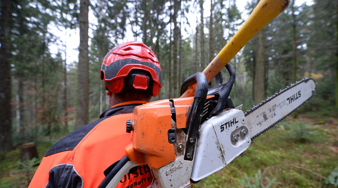 Im Lichtensteiner Wald wird in den kommenden zehn Jahren weniger Holz gemacht.  FOTO: PATRICK SEEGER/DPA