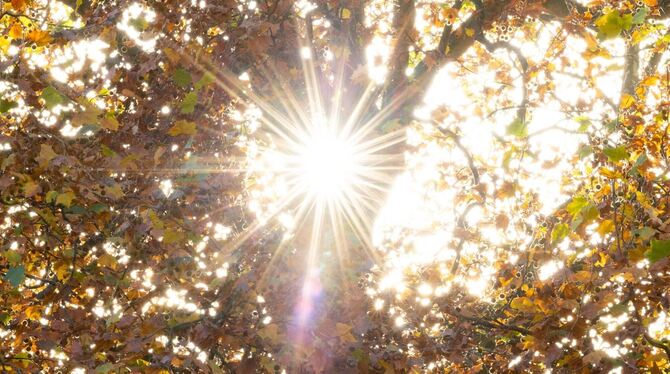 Spätsommer im Oktober