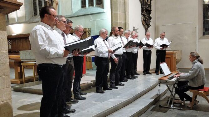 Traditionelles und modernes Liedgut hatte der Männerchor im Programm.  FOTO: BÖHM