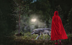 Wolf, Rotkäpchen, Trochtelfingen