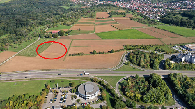 Hier soll der Rettungshubschrauber auf Wannweiler Markung stationiert werden (Roter Kreis). Im Hintergrund sind Wannweil und dar
