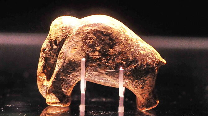 Einer der sensationellen Funde auf der Alb: Das kleine Mammut aus Elfenbein, 7,5 Gramm leicht, entdeckt 2006.  FOTO: MEYER
