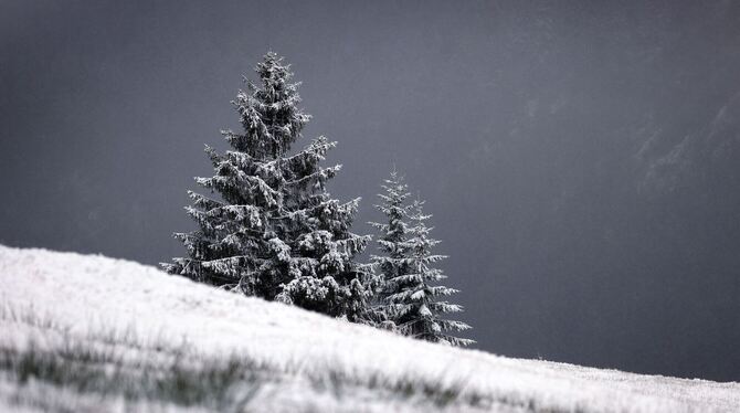 Schnee in den bayerischen Alpen
