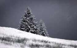 Schnee in den bayerischen Alpen