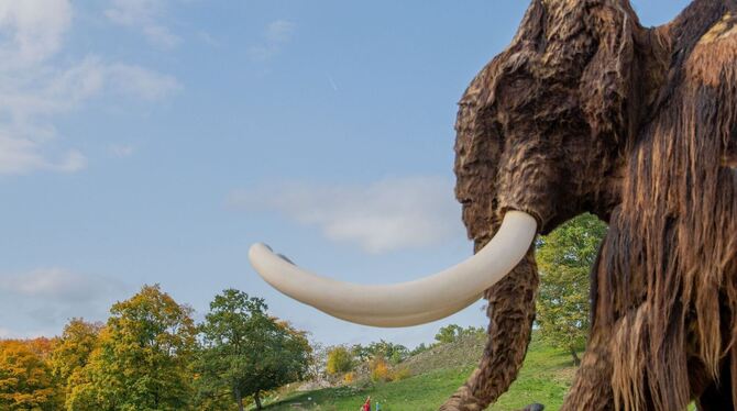 Archäopark Vogelherd Archäopark Vogelherd