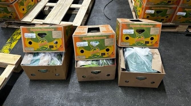 Kokain in Bananenkartons