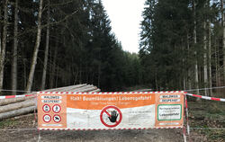 So können Absperrungen der Waldwege wegen der Holzernte aussehen.