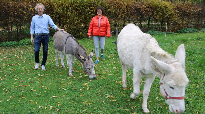Roland und Susanne Scheu mit ihren Eseln Daniel und Salt.  FOTO: OECHSNER