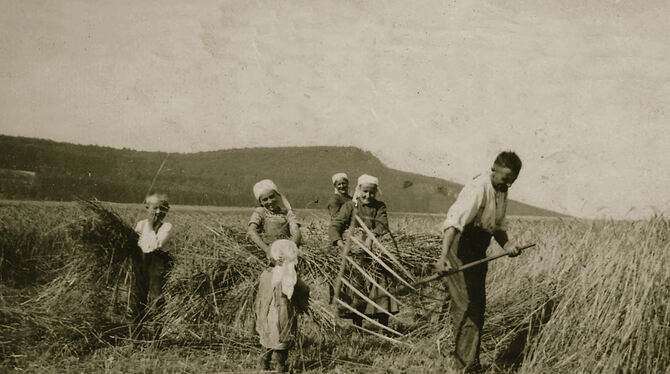 Heuernte in Ohnastetten anno 1936: Viele der Bilder zeigen, wie die Landwirtschaft das Leben bestimmt hat.  FOTO: SAAMMLUNG SIEG