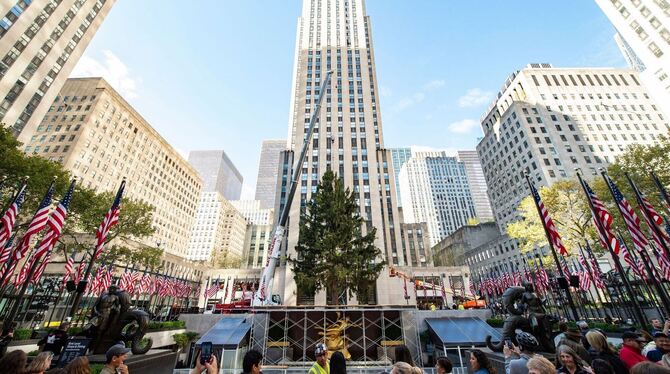 New Yorker Weihnachtsbaum