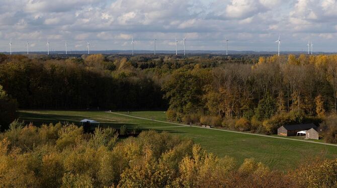 Kalkriese als Ort der Varusschlacht bestätigt Kalkriese als Ort der Varusschlacht bestätigt