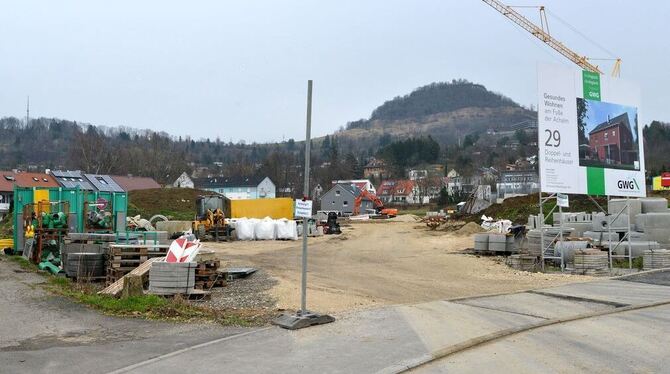 Das neue GWG-Wohngebiet bekommt jetzt doch eine Verkehrsanbindung an die August-Lämmle-Straße. FOTO: NIETHAMMER