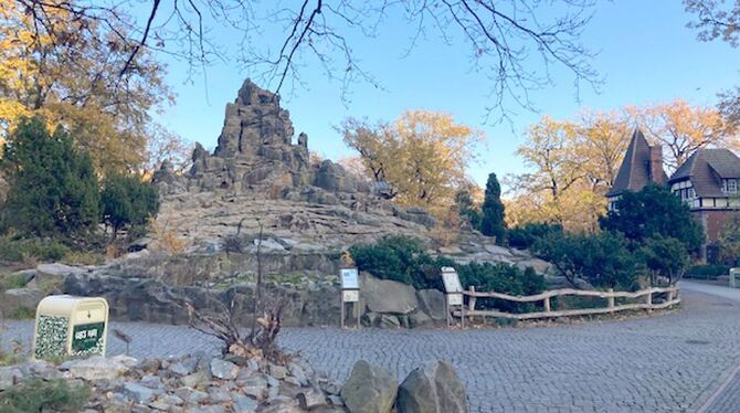 Berliner Zoo wegen Vogelgrippe geräumt Berliner Zoo wegen Vogelgrippe geräumt