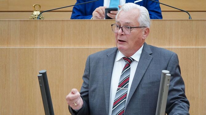 Der baden-württembergische AfD-Fraktionschef Bernd Gögel Der baden-württembergische AfD-Fraktionschef Bernd Gögel