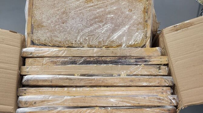 Honig im Reisebus geschmuggelt