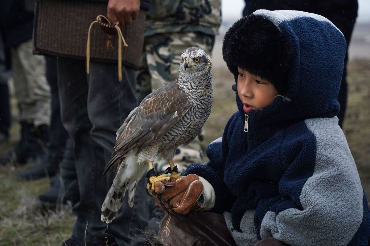 Adler-Turnier Adler-Turnier