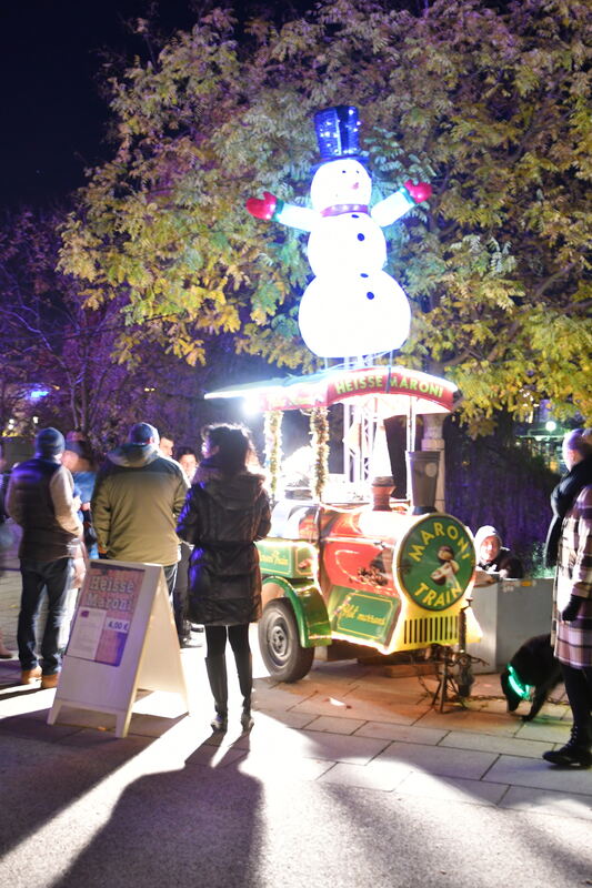 Bild  FOTO JÜRGEN MEYER 26 11 22 RT_35