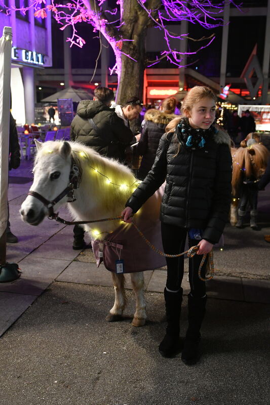 Bild  FOTO JÜRGEN MEYER 26 11 22 RT_42