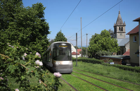 Association criticizes Tübingen's mayor Palmer for remarks about the ...