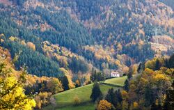 Herbstwetter im Schwarzwald