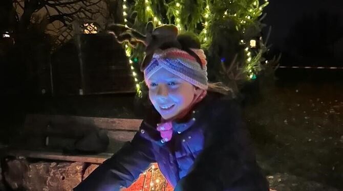 Ein Energierad bringt den Christbaum zum Leuchten.  FOTO: BRUCKLACHER