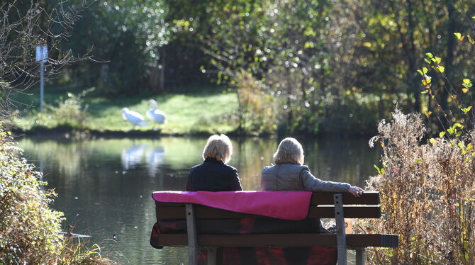 Das Leben ist schön an einem der Seen des Sport- und Freizeitparks Markwasen: In der Sonne sitzen, den Schwänen zuschauen, die S