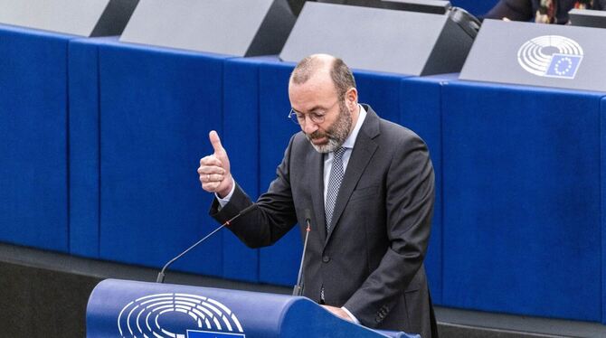 Manfred Weber Manfred Weber