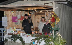 Der Arbeitskreis Asyl war zum ersten Mal auf dem Lichtensteiner Weihnachtsmarkt mit einem Stand vertreten. Ukrainische Frauen ha