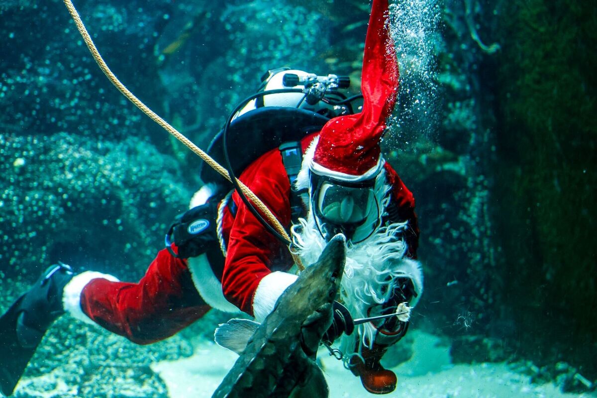 Futterzeit Futterzeit