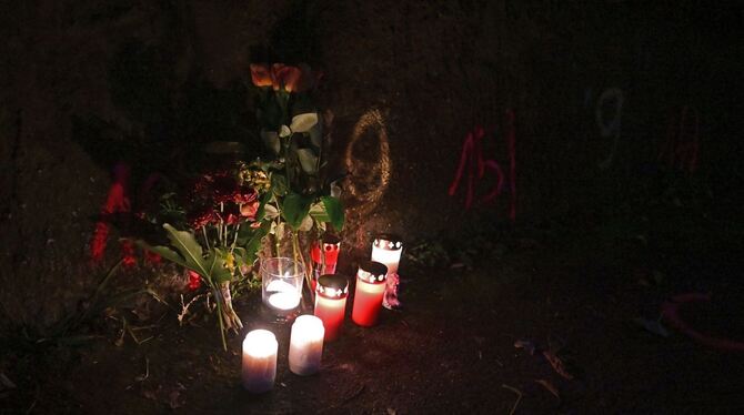 Zwei Mädchen auf Schulweg angegriffen