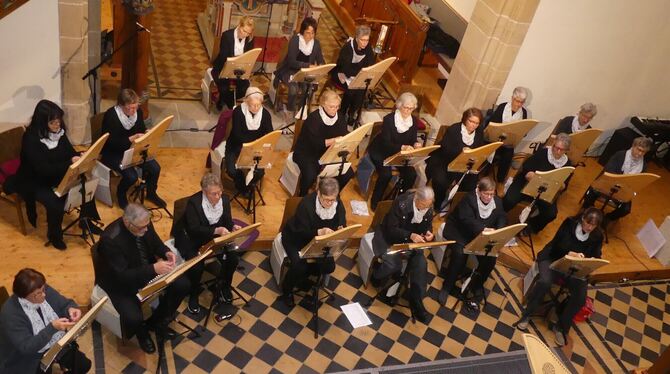 Zwanzig Veeh-Harfen erklangen beim Gottesdienst in der St.-Gallus-Kirche.  FOTO: PRIVAT