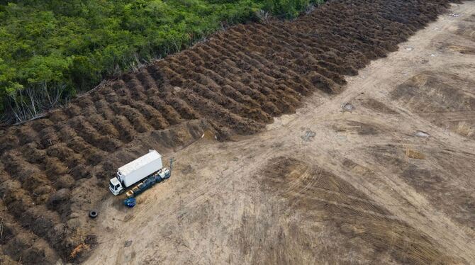 Abholzung im Amazonasgebiet
