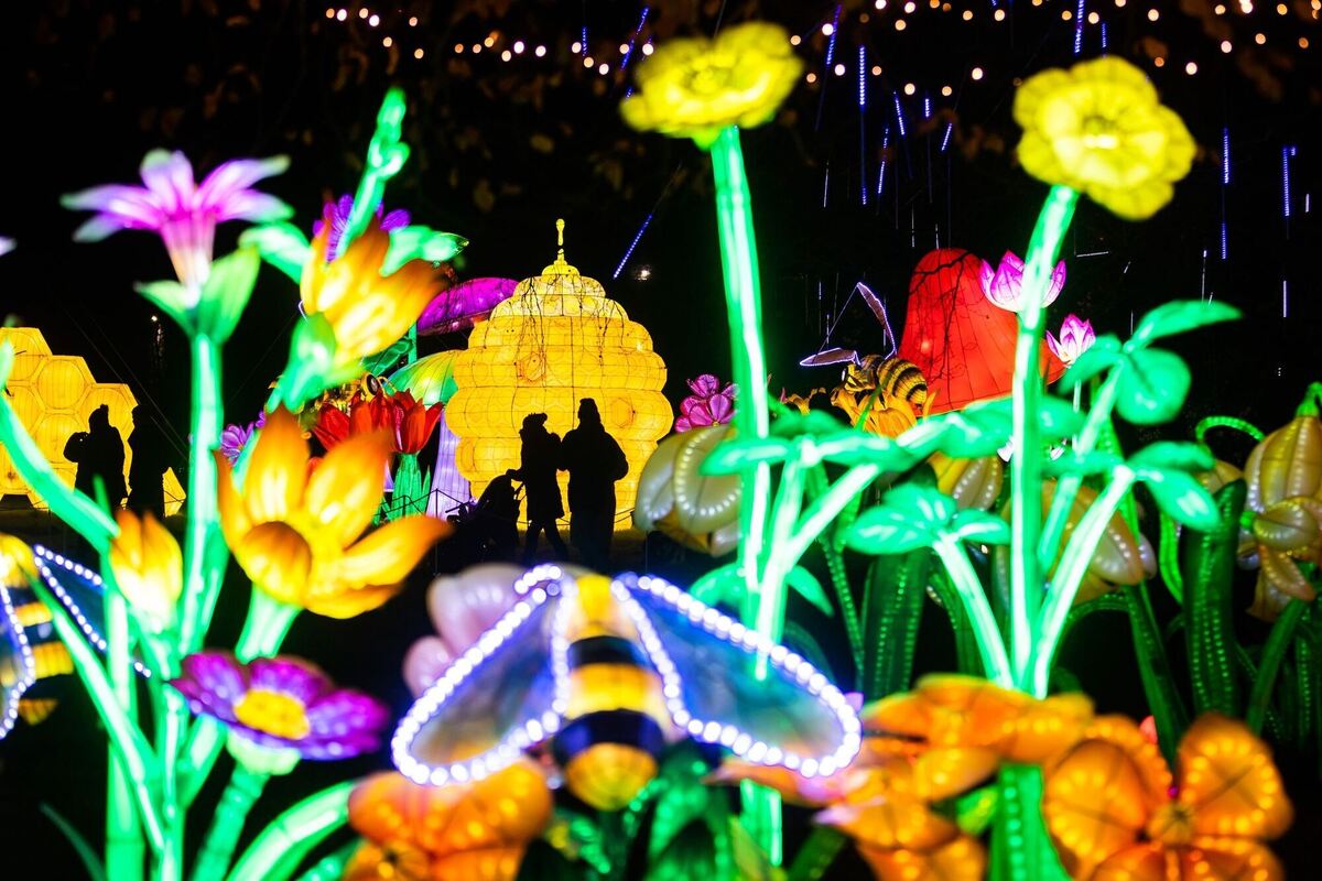 Zauberlandschaft Zauberlandschaft