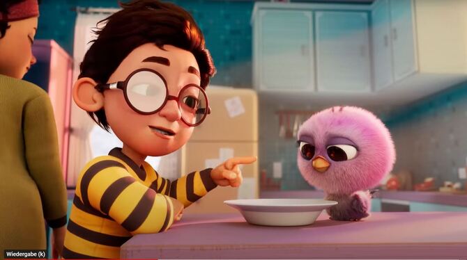 Der kleine Truthahn Toby wächst bei Menschen auf.