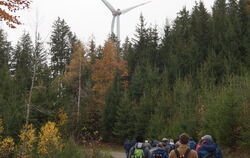 Engstinger Bürger informieren sich über den Windpark bei Gutach.  FOTO: WURSTER