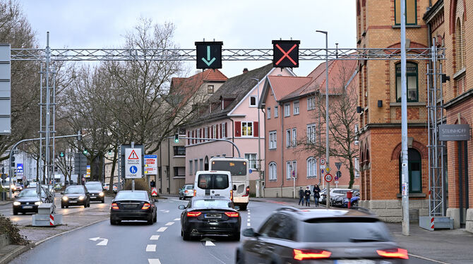 Wegen Baumpflegemaßnahmen muss die Lederstraße teilweise gesperrt werden.