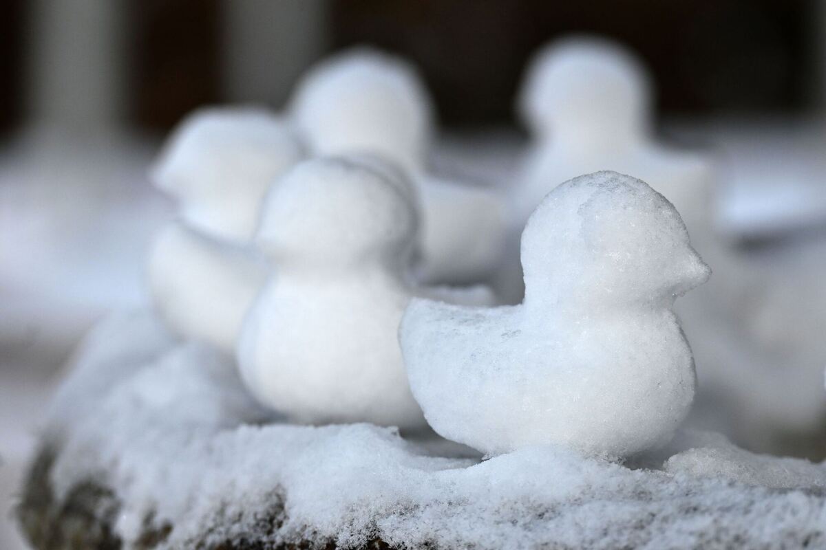 Schneebälle mal anders