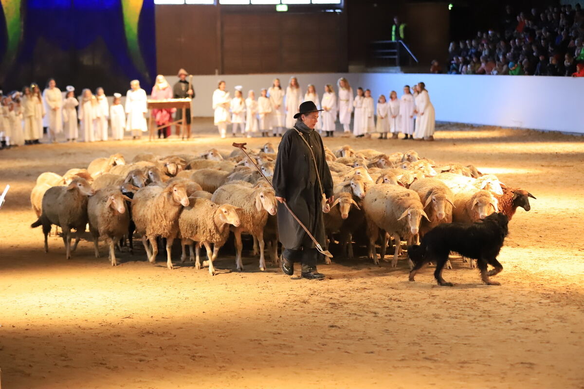 Marbach_Weihnacht_22_36