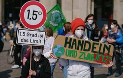 «Fridays for Future»