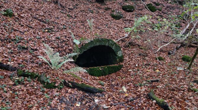 Deutlich zu erkennen ist die Quellfassung des Pfaffenbrünneles im Wald nahe der Fohlensteige.  FOTOS: BÖHM