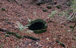  Deutlich zu erkennen ist die Quellfassung des Pfaffenbrünneles im Wald nahe der Fohlensteige.  FOTOS: BÖHM