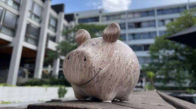 Das Sparschwein vor dem Reutlinger Rathaus hat eigentlich nichts mehr zu lachen: Stress mit dem Stadthaushalt, enorme Kosten dur