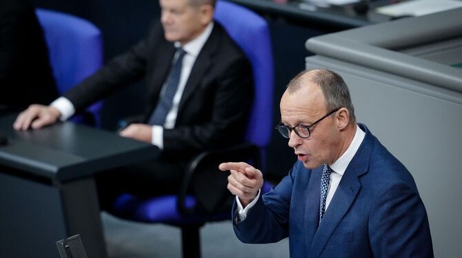 Friedrich Merz Friedrich Merz