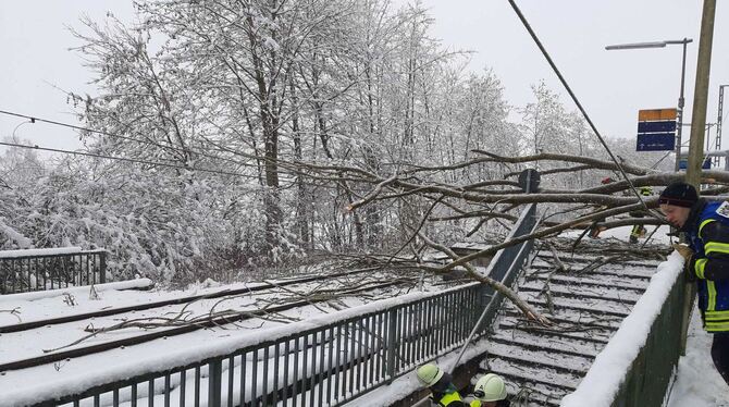 Baum fällt auf S-Bahnstrecke