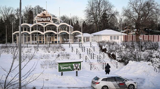 Schimpansen im schwedischem Tierpark
