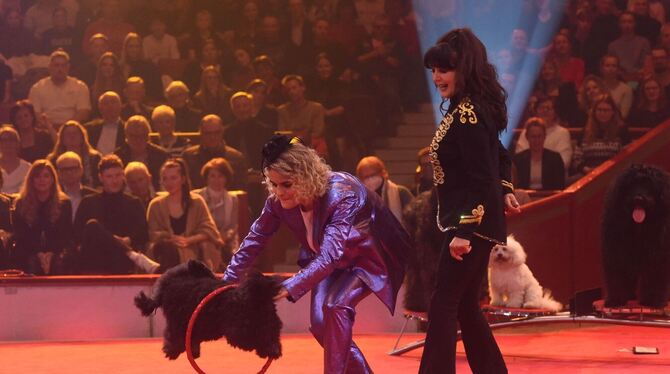 »Stars in der Manege«