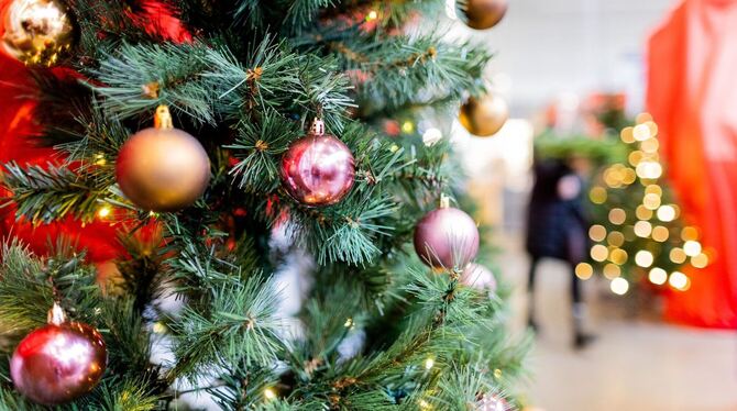 Weihnachtsbäume Weihnachtsbäume