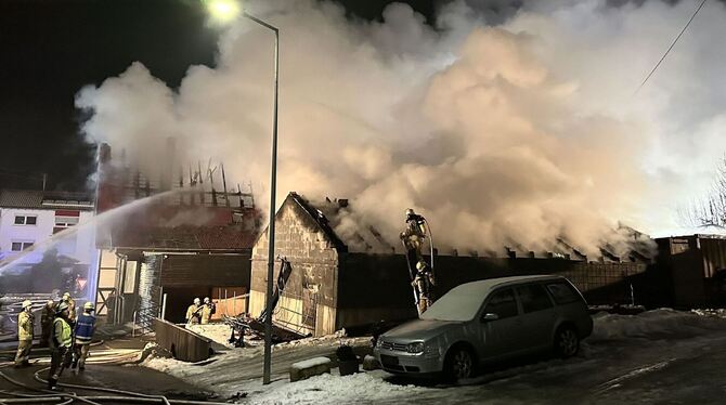 Brand in Pferdehof - Frau will Tiere retten und verletzt sich