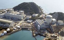 Atomkraftwerk Mihama