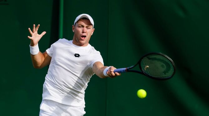 Dominik Koepfer Dominik Koepfer